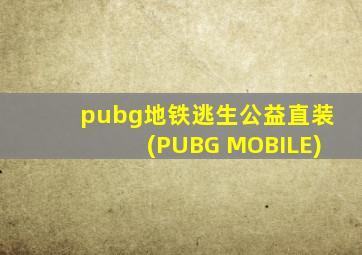 pubg地铁逃生公益直装(PUBG MOBILE)